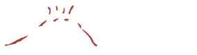 Logo Vulcano France